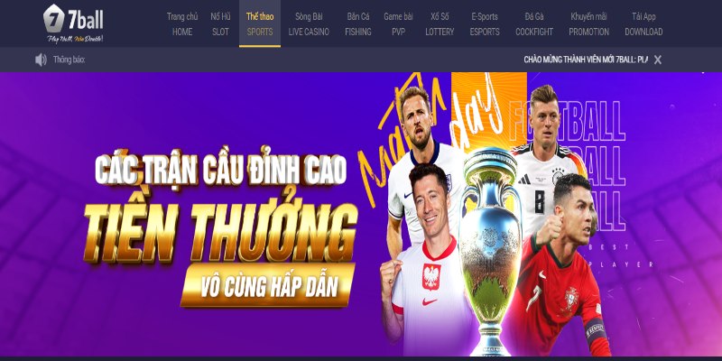 Nhiều điều cần biết tại sảnh thể thao 7Ball